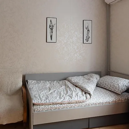 Apartment Centrally Located Vintage Flat